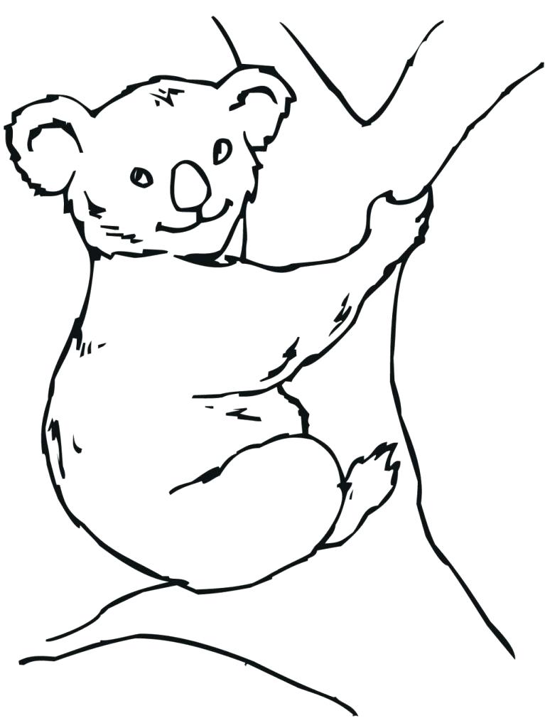 767x1024 Koala Bear Pictures To Color Koala Bear Coloring Pages For Free