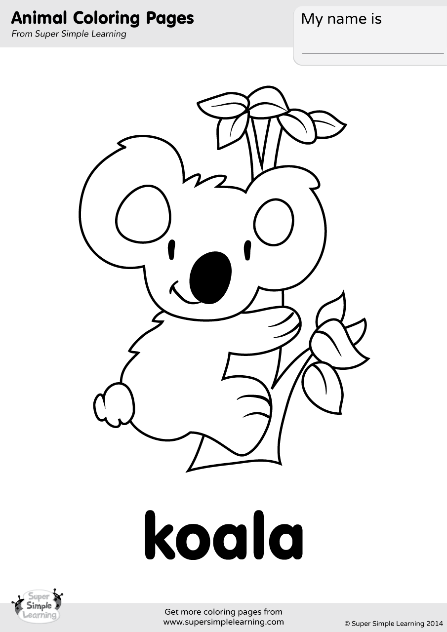 905x1280 Koala Coloring Page Super Simple