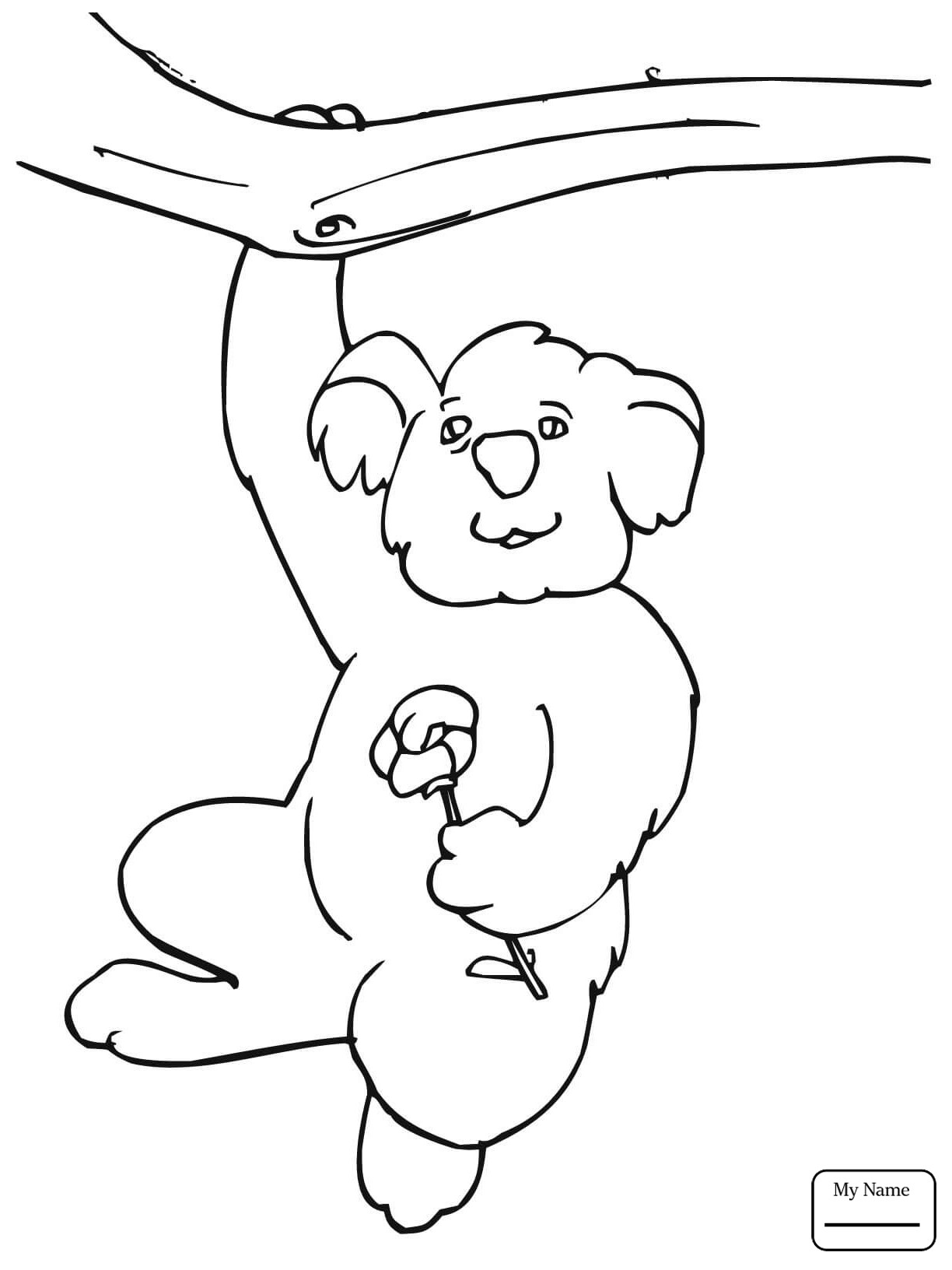 1224x1632 Koala Coloring Pages Free Draw To Color
