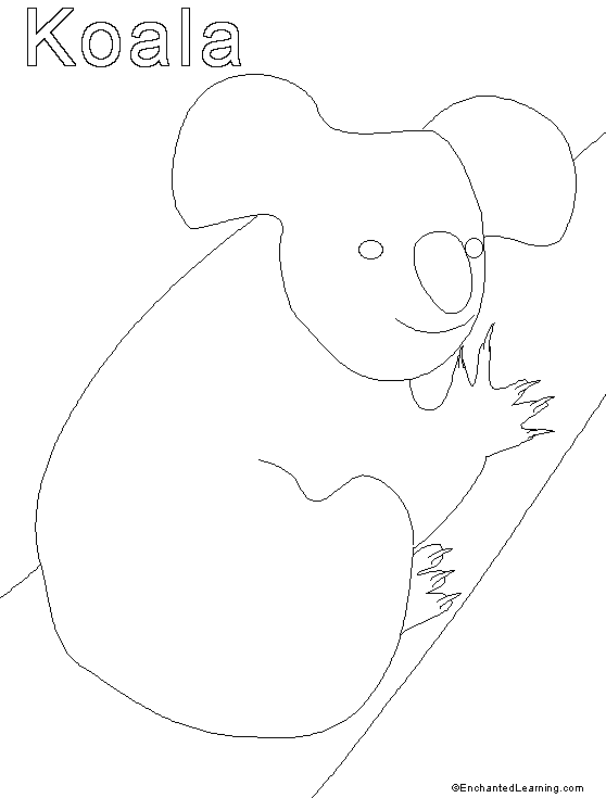 558x735 Koala Printout (Simple)