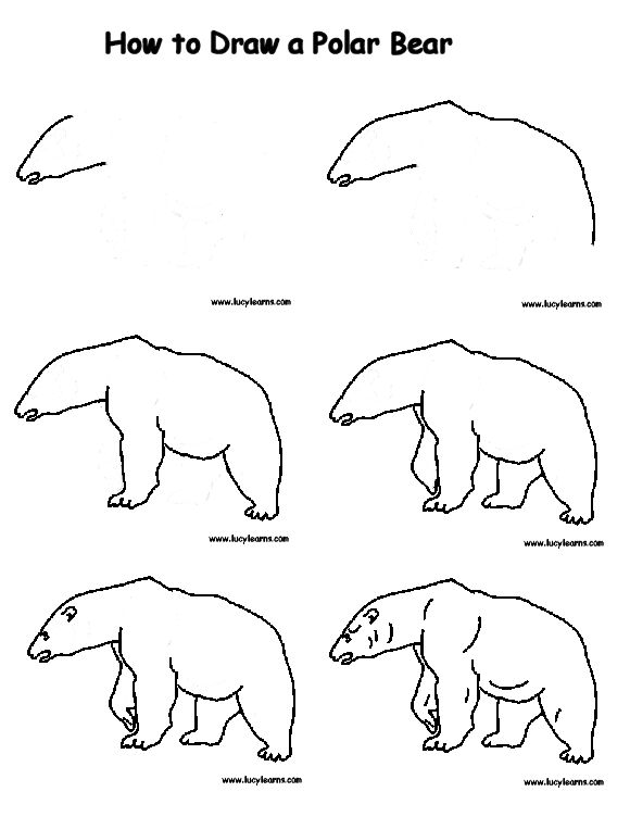 580x752 Drawing Polar Bear. Easy Drawing Of A Bear How To Draw A Polar