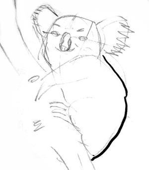 300x343 How To Draw A Koala