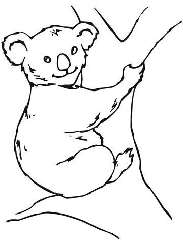 360x480 Koala Bear Coloring Page Free Printable Coloring Pages
