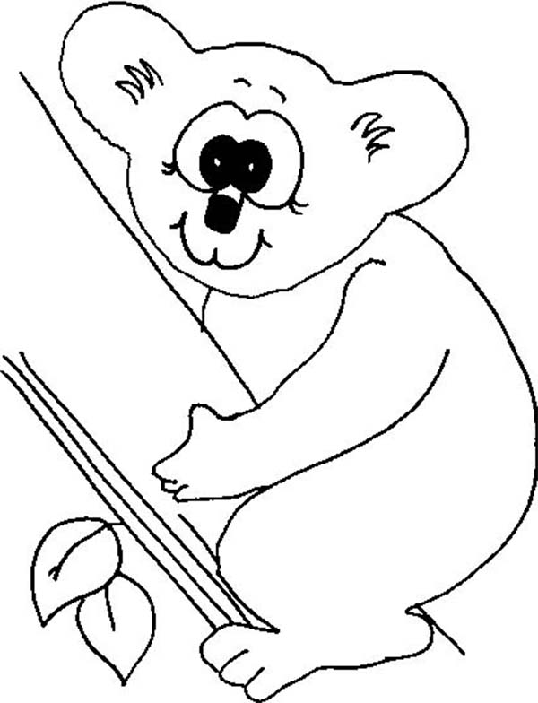 600x784 Koala Bear With Big Eye Coloring Page Color Luna