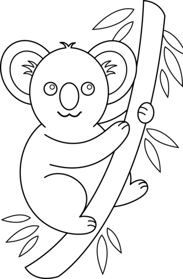 360x550 Koala Coloring Page