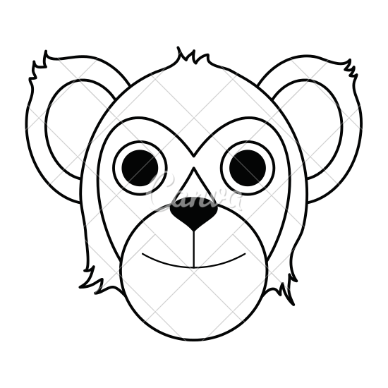 550x550 Koala Draw Illustration
