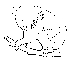 227x190 Line Drawings Of Australian Christmas Icons Suitable For School