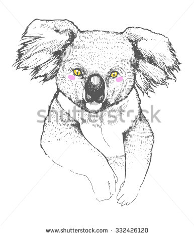 386x470 Drawn Koala On Fire