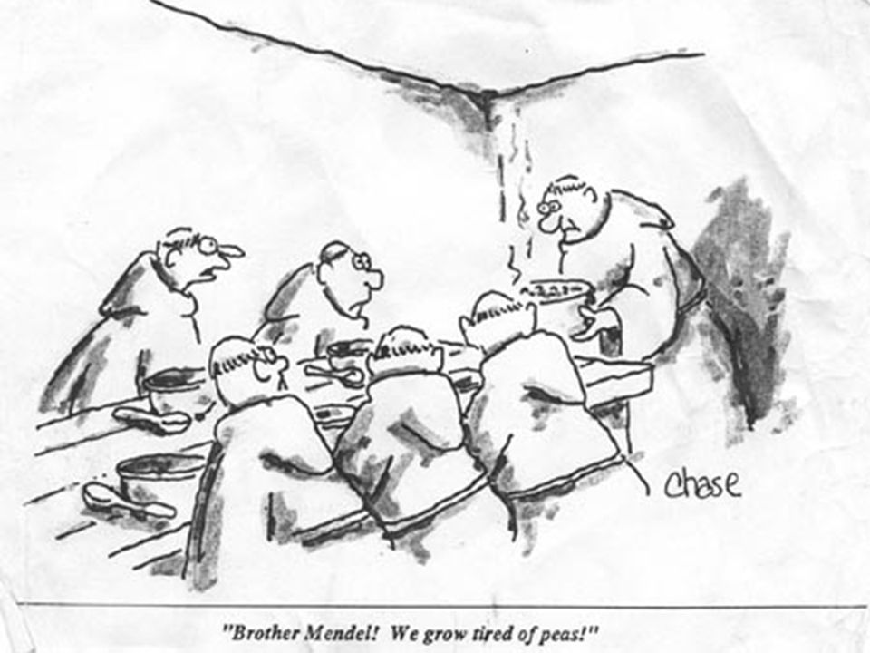 960x720 Kobe Lottery Directions I Am Going To Roll 6