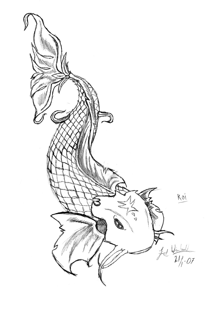 869x1300 Koi Fish By Jimmpan
