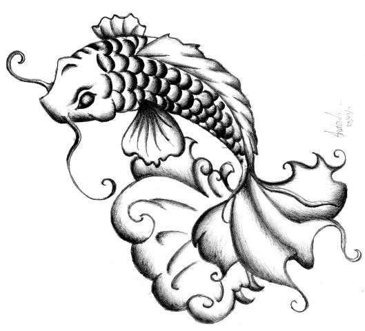 529x480 Koi Drawing By Shaneshanked