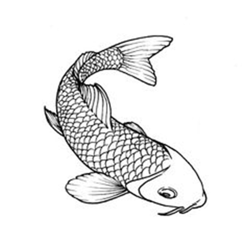 1008x999 Koi Fish Drawing