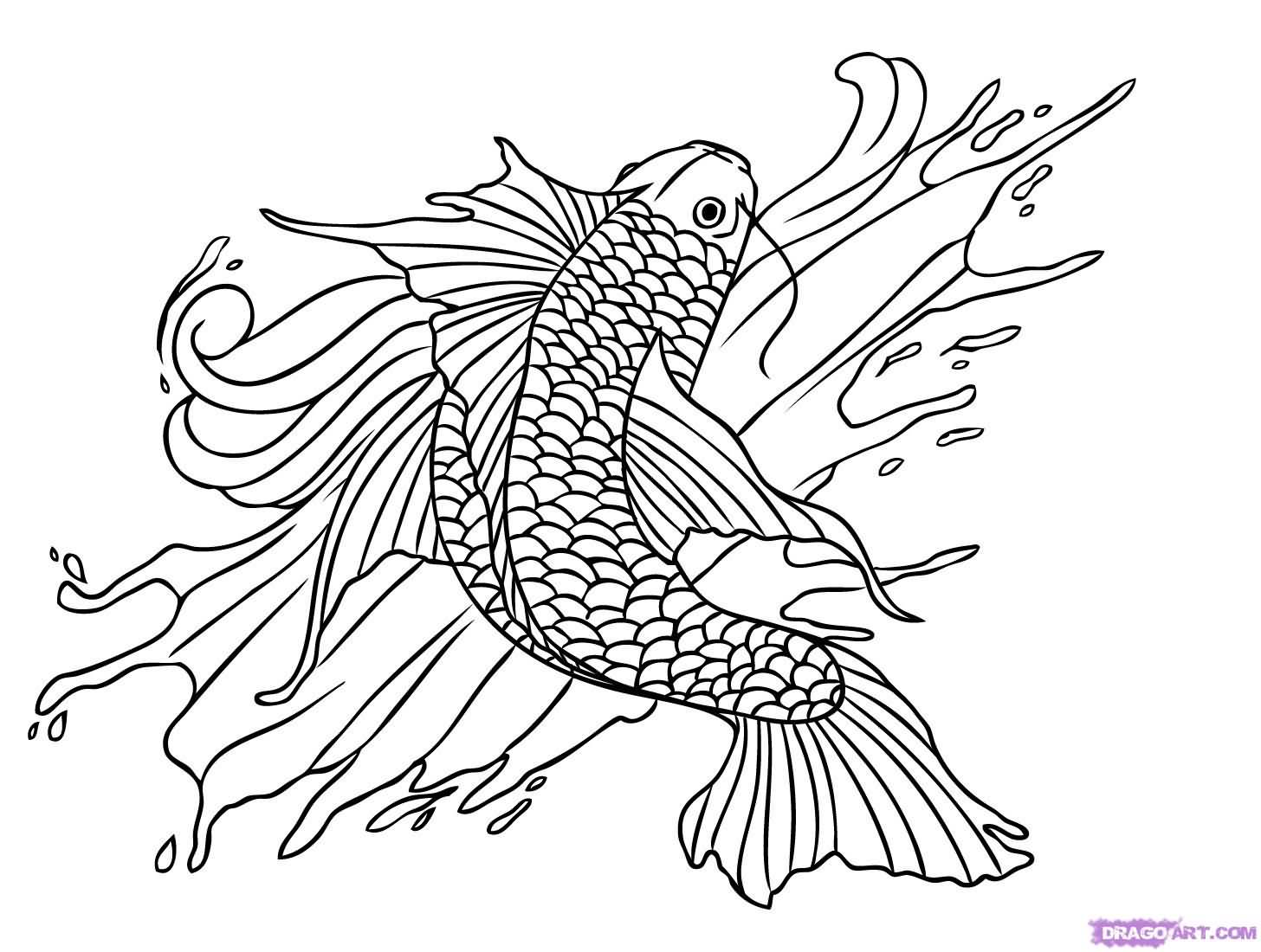 1456x1100 Koi Fish Tattoo Drawing