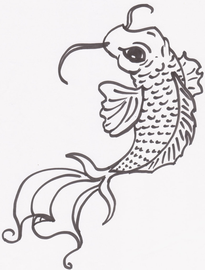 780x1025 Koi Fish Drawing By Rearrabbit