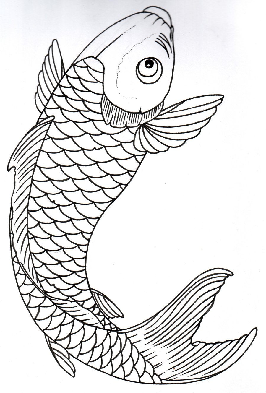 900x1330 Outline Drawings Of Fish Group