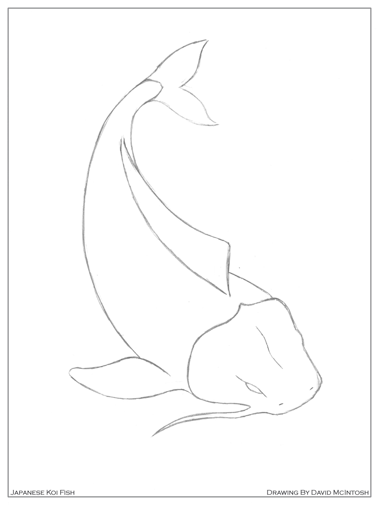 768x1024 Simple Koi Fish Drawing