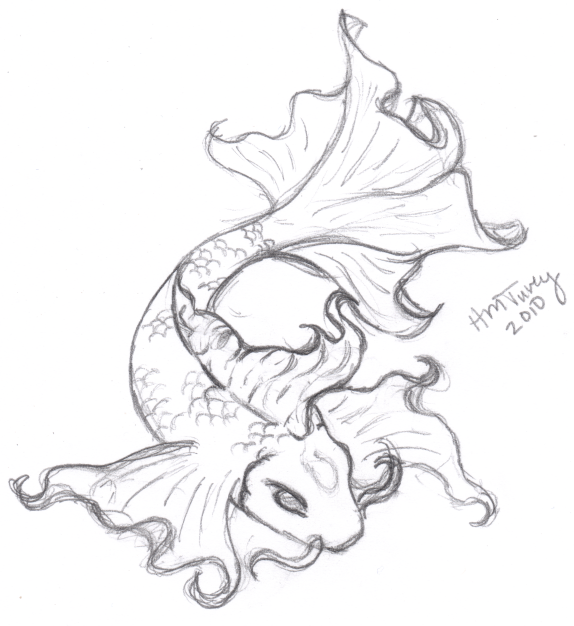 574x626 Koi Fish Drawings Koi Sketch