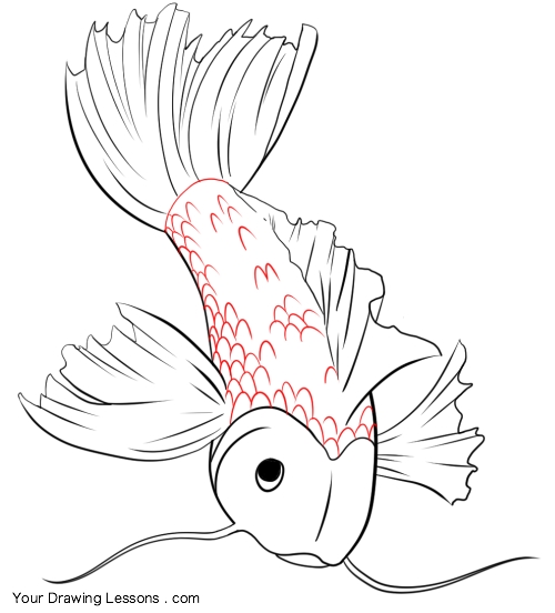 500x552 How To Draw A Koi Fish Your Drawing Lessons