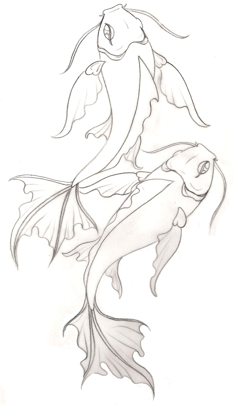 900x1564 Drawn Koi Fish Fantastic
