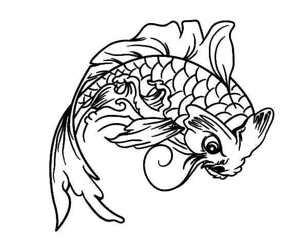 600x470 Koi Fish Look Angry Coloring Pages