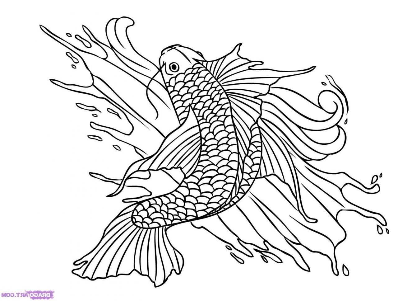 Koi Fish Dragon Drawing at GetDrawings | Free download