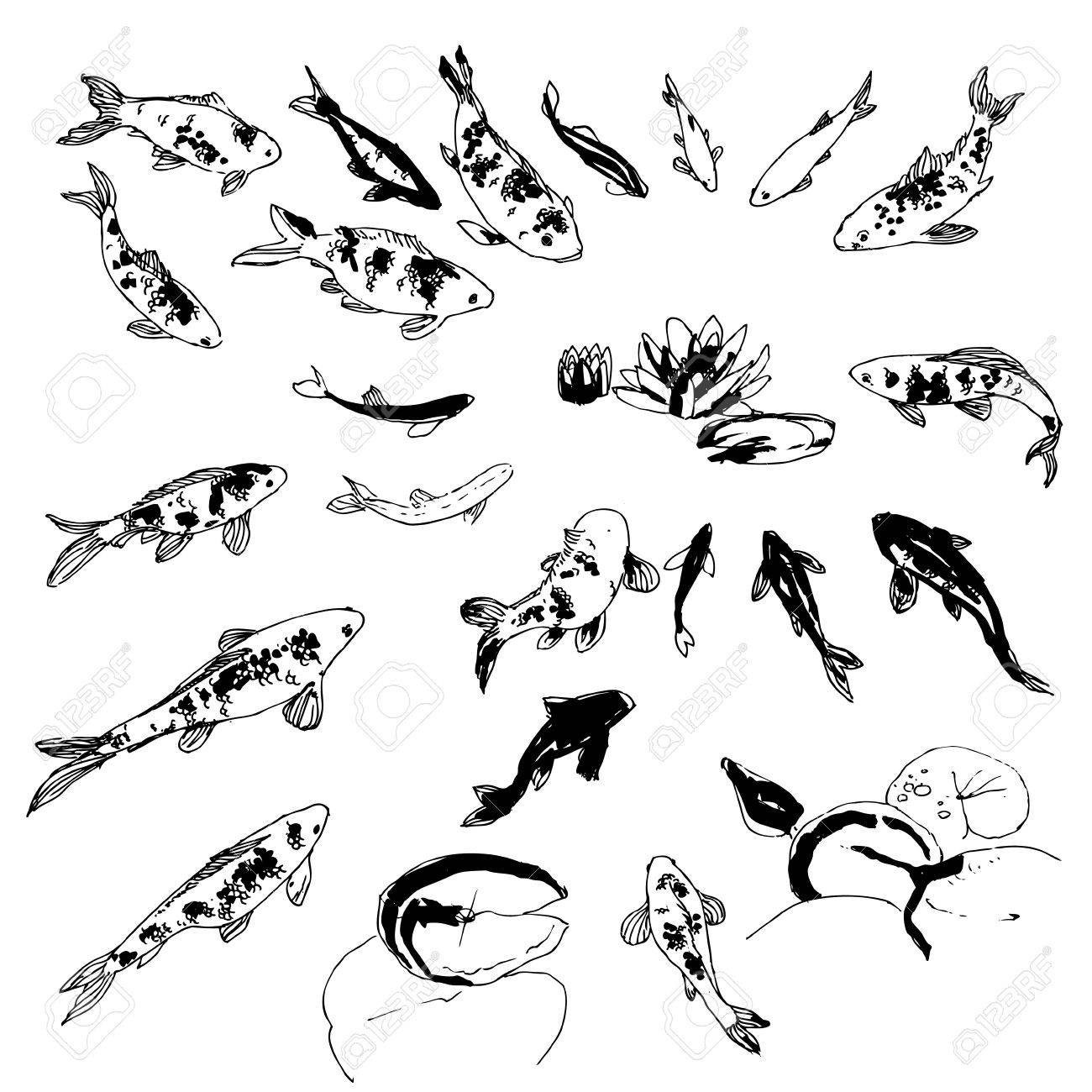 1300x1300 Black And White Hand Drawing Koi Fish Collection Royalty Free