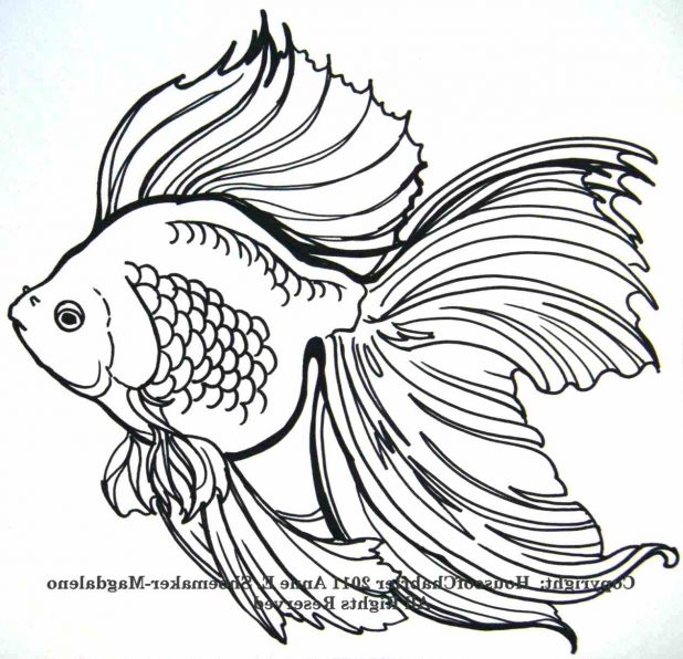 618x596 Comments Off On Simple Draw Fish Tattoo Design Japanese Koi Lucky