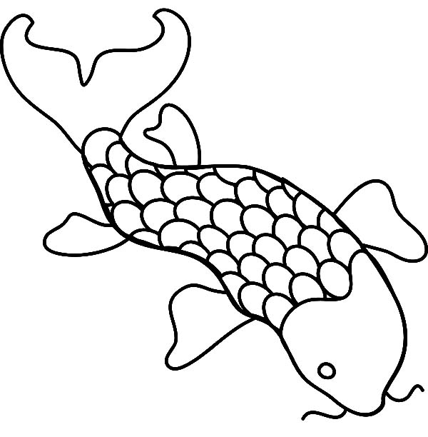 Koi Fish Drawing Outline at Free for