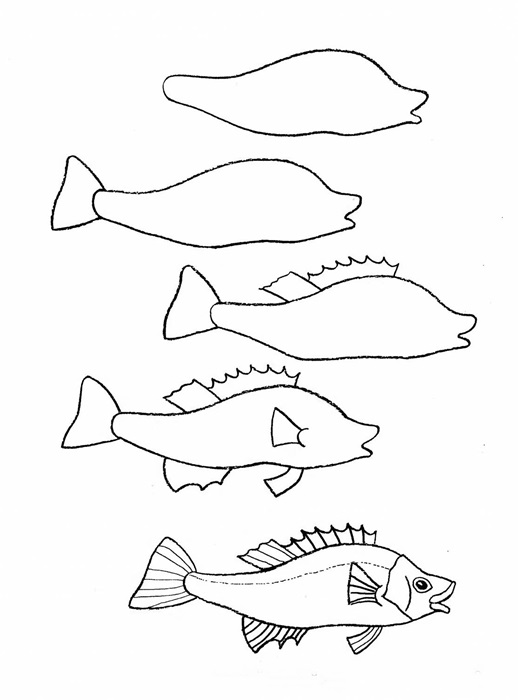 518x700 How Do You Draw A Fish Step By Step