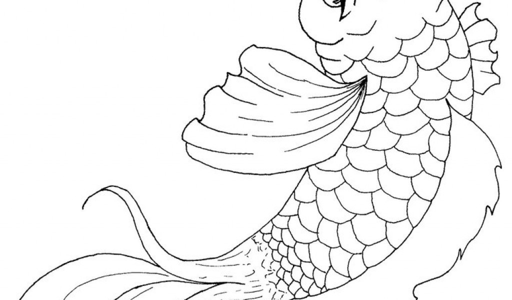 1024x600 Koi Fish Coloring Page Free Download