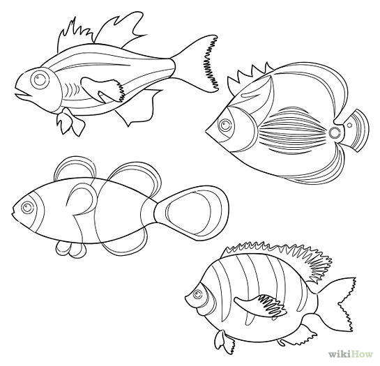 545x525 Outline Drawings Of Fish Group