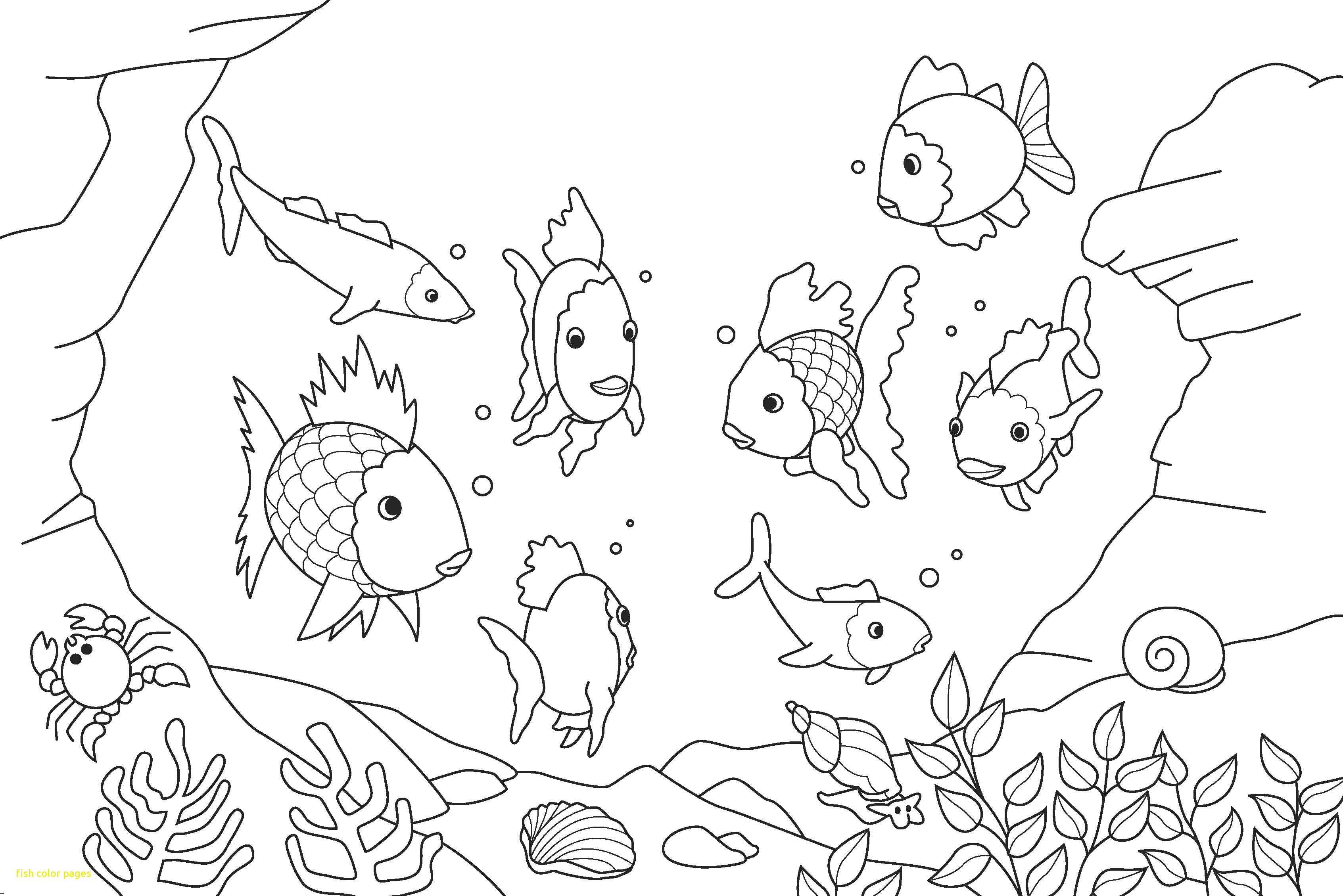 3386x2260 Fish Color Pages With Top 25 Free Printable Koi Fish Coloring