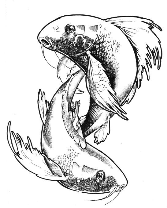 546x678 Pisces Fish Drawing Photo