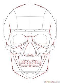 236x326 How To Draw A Human Skull Step By Step. Drawing Tutorials For Kids