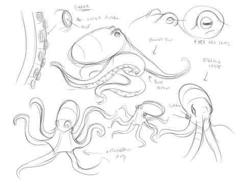 474x366 Octopus Drawing Tutorial