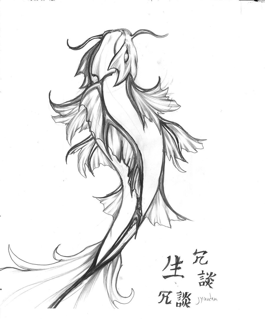 900x1083 Drawing A Koi Fish
