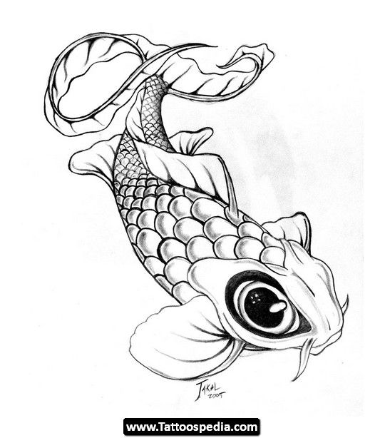 540x614 Drawn Koi Carp Baby