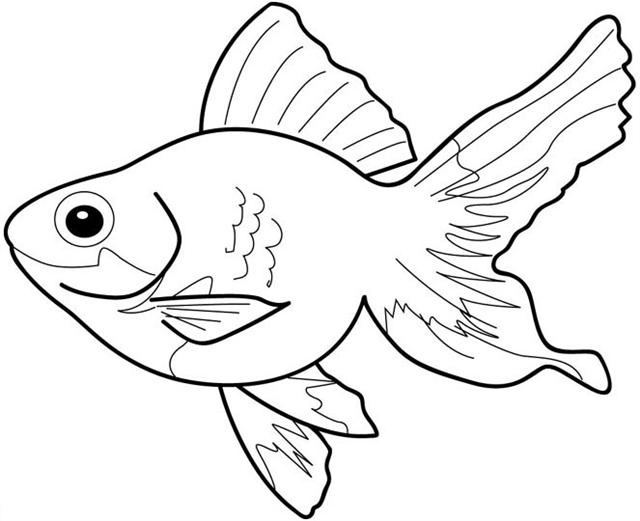 640x521 Koi Fish Clipart Black And White
