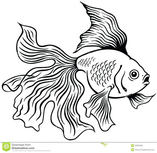 618x604 Vibrant Ideas Goldfish Outline Black White Stock Vector Image
