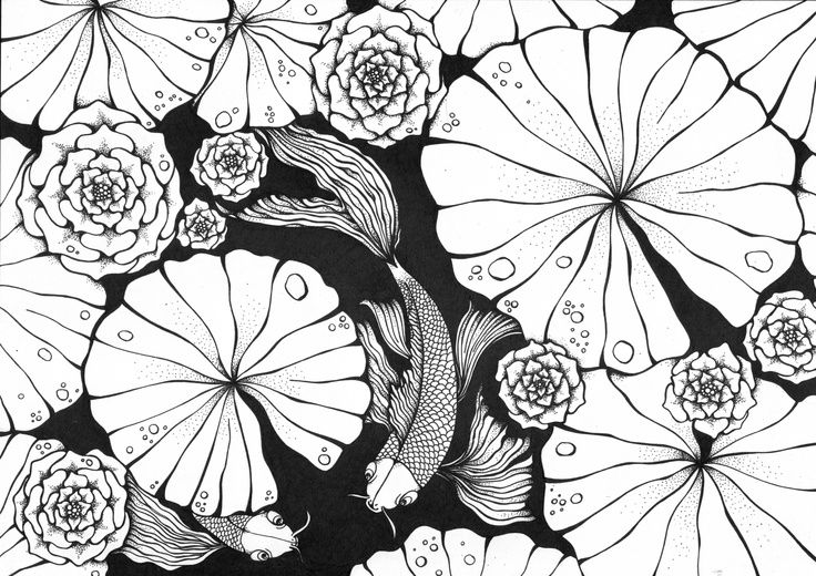 736x520 Koi Pond Illustration