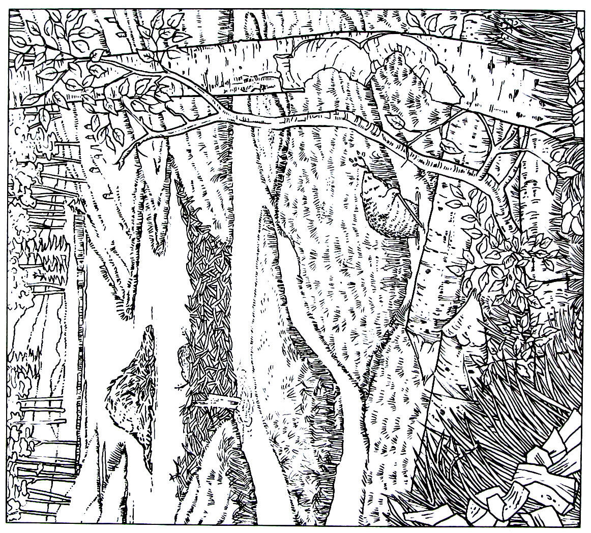 1162x1049 Beaver Pond Animal Coloring Book Page Printable Animal Coloring