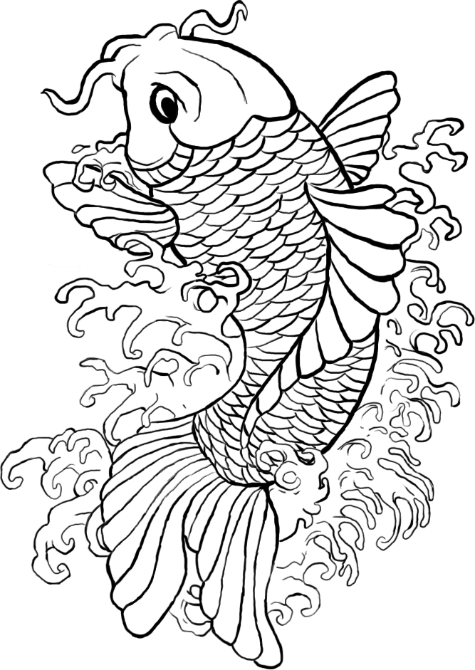667x941 Koi Line Art By Samshootsfilm