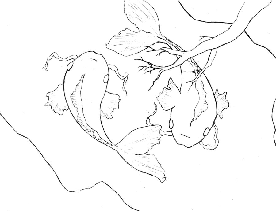 900x690 Koi Pond Line Art By Hysteria347