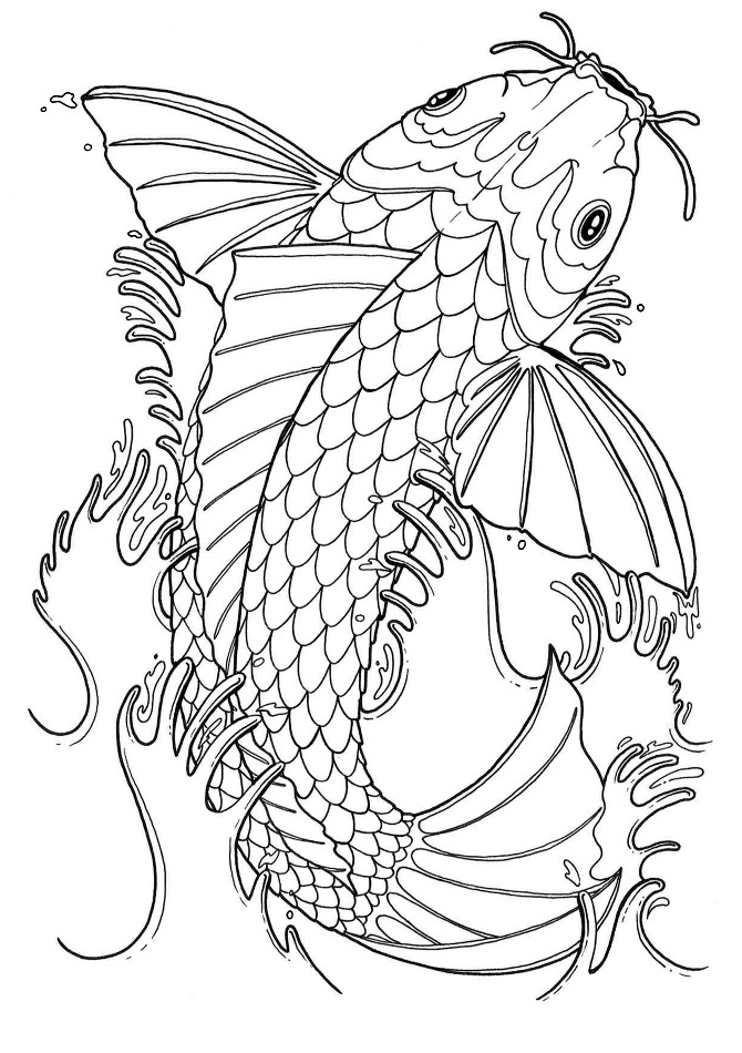 Koi Line Drawing at GetDrawings | Free download