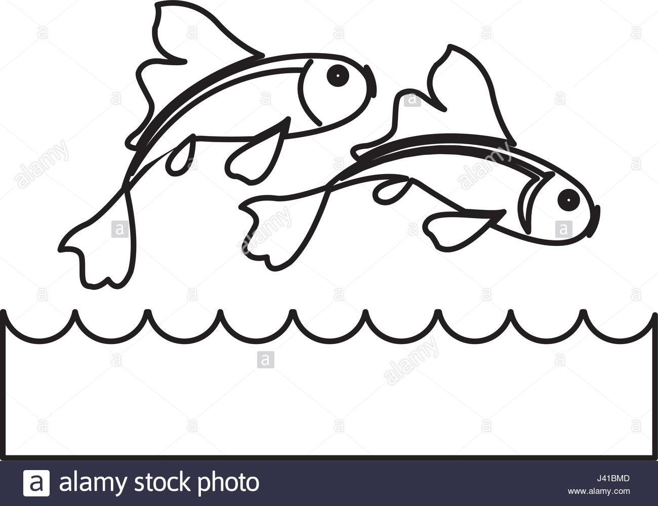 1300x1000 Fish Koi Chinese Animal Asian Decorative Image Line Stock Vector