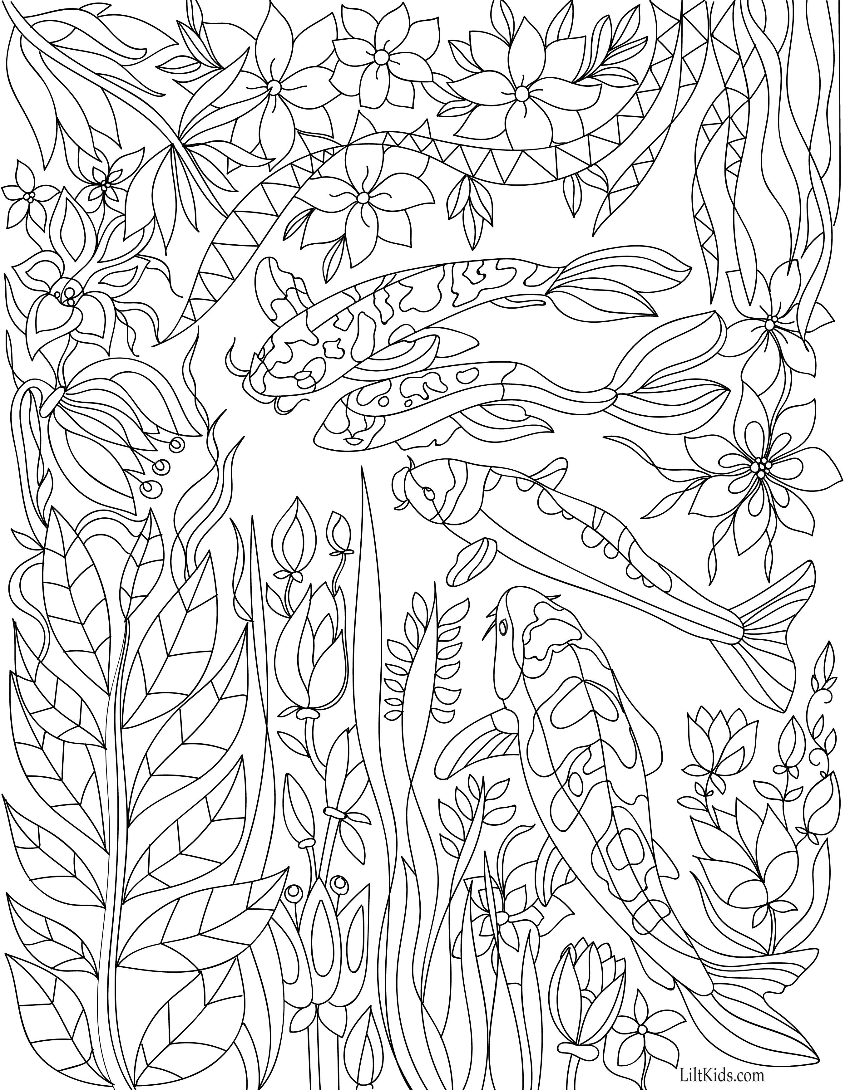 2706x3493 Free Koi Pond With Lillies Adult Coloring Book Image From Liltkids