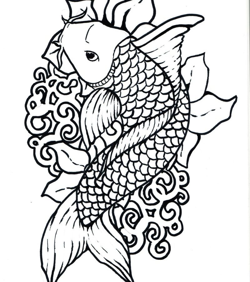 800x900 Koi Fish Chinese Carps Pisces Adult Antistress Coloring Page