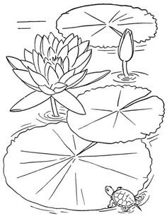 236x306 Coloring Koi Fishes In A Pond For Koi Nobori Hobby Time