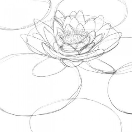 420x420 Best Lily Pad Drawing Ideas On Pond Painting