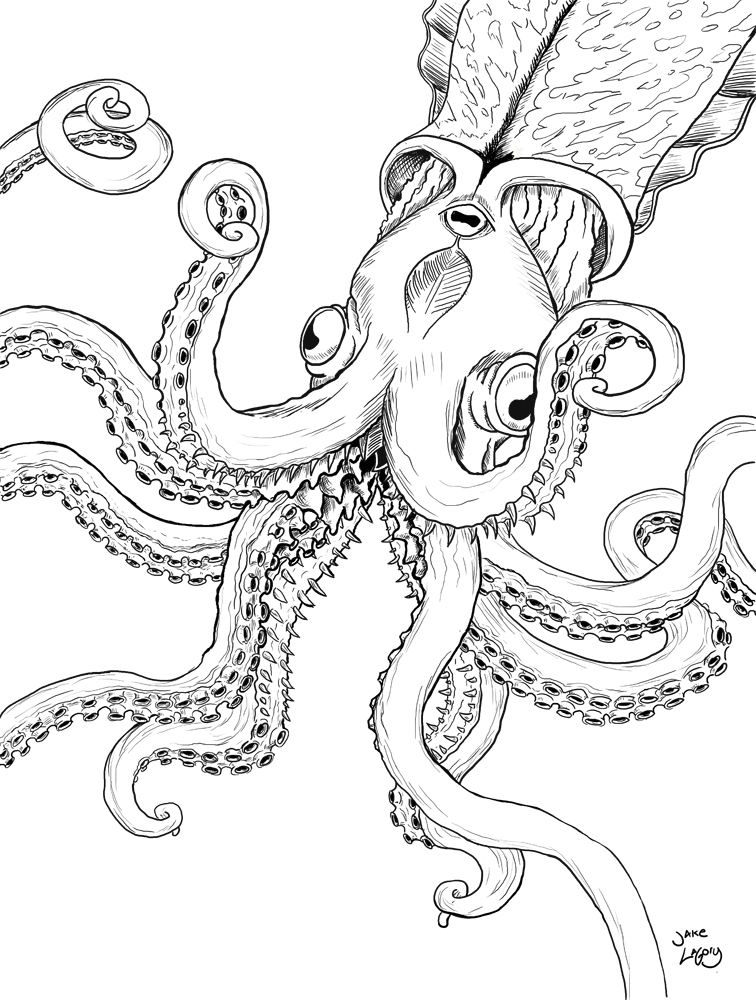 Kraken Drawing at GetDrawings.com | Free for personal use Kraken